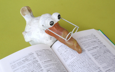 Кировчане смогут изучить польский язык бесплатно