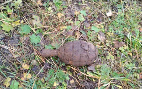 Граната торчала из земли: кировские саперы обезвредили боеприпас времен Великой Отечественной войны