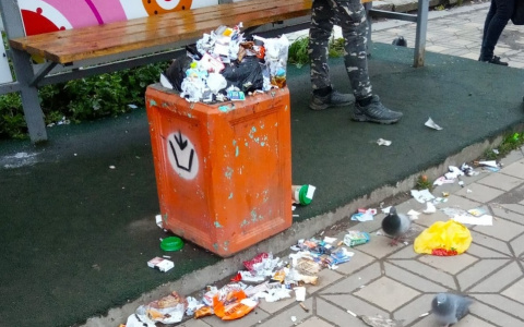 «Как не стыдно администрации?»: кировчане жалуются на переполненные урны на улицах города