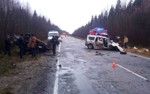 Что обсуждают в Кирове: смертельное ДТП с крокодилом и убийство мужчины