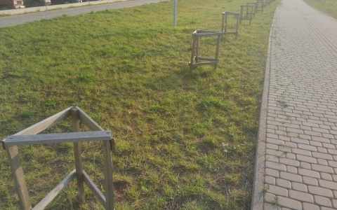 «Деревья сажали для показухи?»: жители Чистых прудов об исчезнувших из парка саженцах