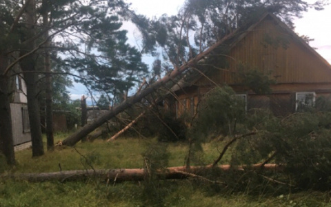 Кировчан предупреждают о сильном ветре