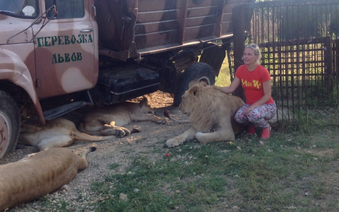 Директор парка львов «Тайган» не явился на суд с кировчанкой