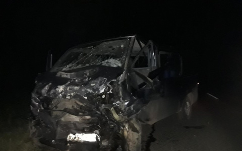 8-летней девочке, пострадавшей в ДТП под Нолинском, сделали операцию