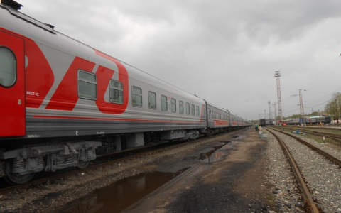 Поезд "Вятка" внезапно остановили под Нижним Новгородом из-за неисправности