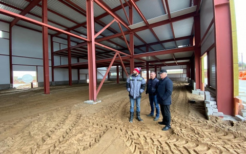 Моцарелла и чеддер: в Кировской области планируют открыть завод по производству сыров