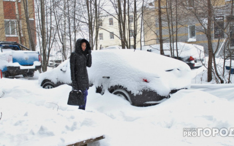 Снегопады и дожди: погода в Кировской области на ноябрьские праздники
