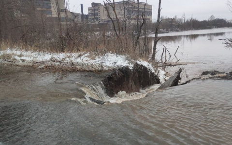Виноваты бобры: в Кирове 2 пруда вышли из берегов