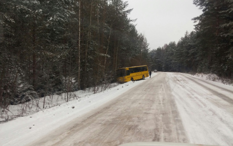 Под Кировом школьный автобус с детьми съехал в кювет