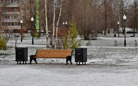 В Кирове впервые на зиму не уберут скамейки и урны с улицы
