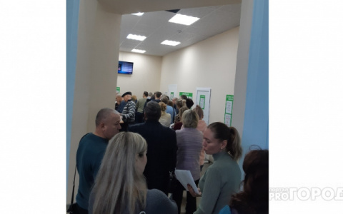 Что обсуждают в Кирове: очереди за медсправкой на права и первые жертвы волков