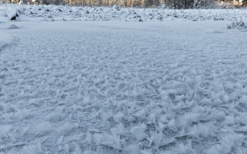 Ледяные цветы: жители Кировской области сфотографировали редкое явление