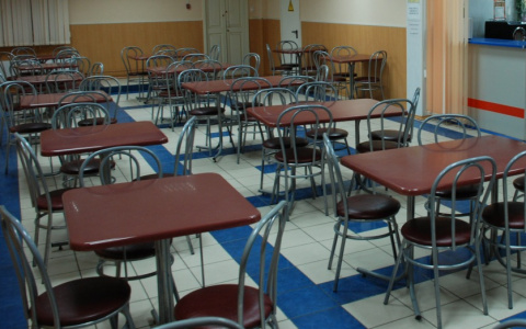 В Кирове продукты для обедов в детсадах и школах хотят закупать у местных производителей