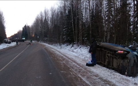 В Сунском районе лесовоз столкнулся с двумя легковушками: есть погибшие