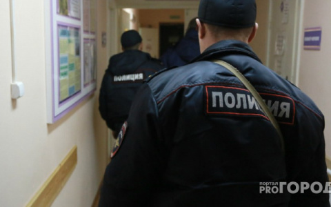 Кировчанина накажут за мат в адрес полицейского