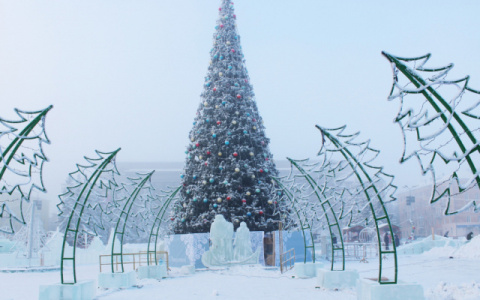 В администрации рассказали, когда состоится открытие главной новогодней елки в Кирове