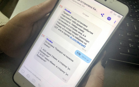 Инструкция: как пользоваться чат-ботом с расписанием автобусов в Кирове