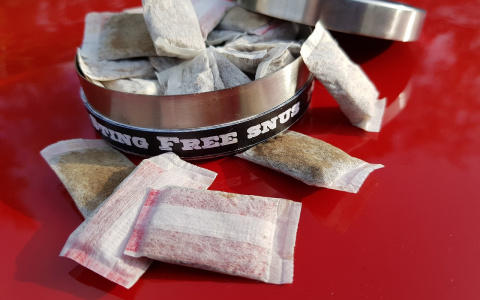 В Кировской области предложили вынести вопрос запрета снюса на федеральный уровень