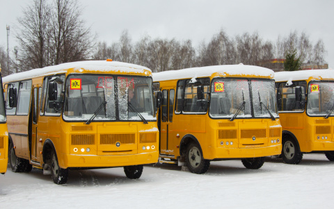 Известно, каким школам в Кировской области достанутся 17 новых автобусов