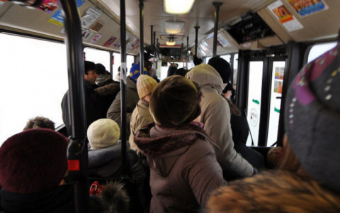 В Кирове стоимость проезда в транспорте упала до 19 рублей для некоторых пассажиров