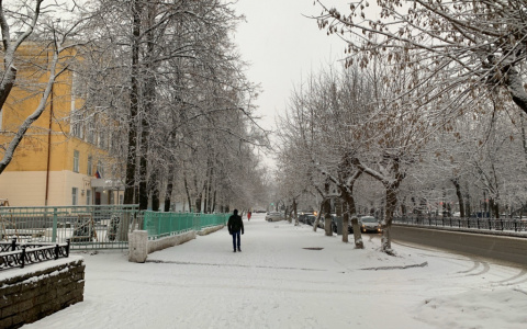 Температурные аномалии: на юге Кировской области холоднее, чем на севере, на 18 градусов