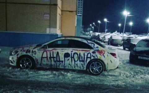 В Кирове на Заводской разрисовали иномарку
