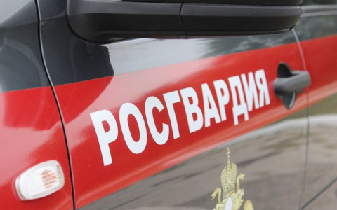 Отнял деньги и карту: в Кировской области задержали грабителя