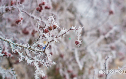 Новая рабочая неделя принесет в Киров снегопад