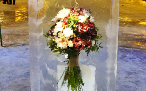 Цветы в глыбе льда: в Кирове появился необычный арт-объект