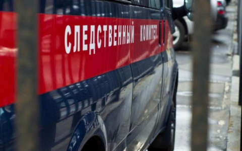 Вместо колонии - больница: известно наказание матери из Омутнинска за попытку убить сына-инвалида