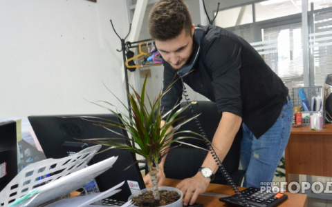 Специалисты по кадрам рассказали, сколько кировчан работает по специальности