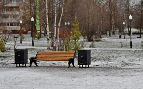 Лужи в январе: в Кирове побит 100-летний температурный рекорд
