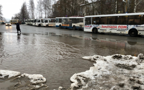 Очередное потепление: прогноз погоды в Кирове на выходные