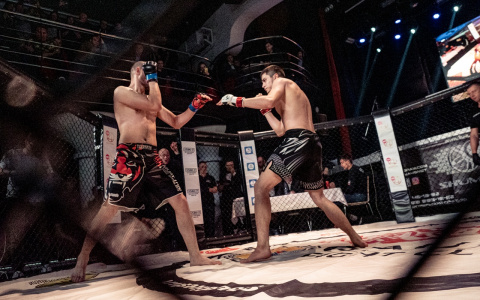 В Кирове состоится полуфинал чемпионата области по ММА