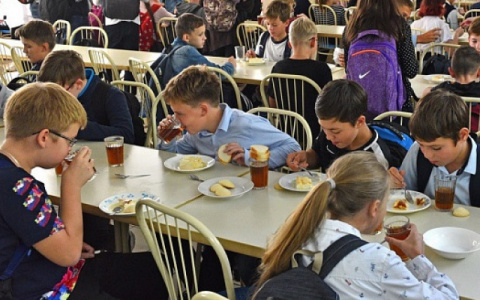 Известно, сколько миллиардов потратят на бесплатное питание в кировских школах