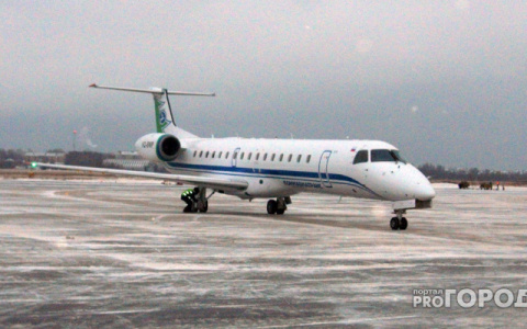В Победилово начали пускать на борт самолета по электронным билетам