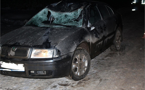 Житель Кировской области сбил лося на трассе: один человек госпитализирован