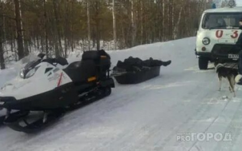 В Кировской области в ДТП со снегоходом погибли 2 человека