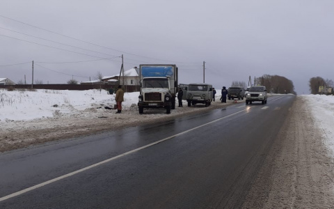 Утром в Векшино ГАЗ насмерть сбил женщину-пешехода