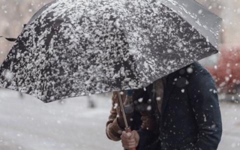 "Снегопад и оттепель": известен прогноз погоды на вторник, 4 февраля