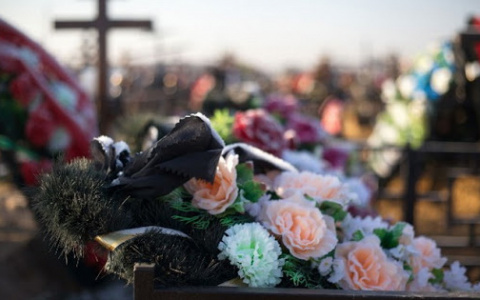 Новая ритуальная служба : достойное качество и низкие цены