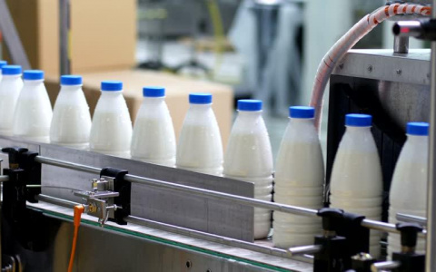 Опубликованы результаты экспертизы грязного молока, которое поставляли в кировские детсады