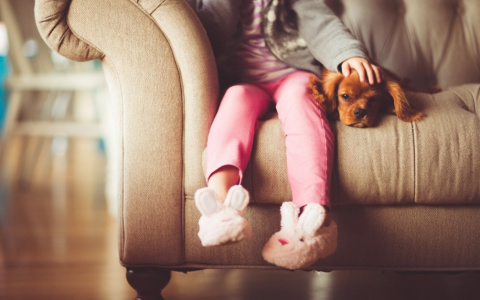 Новый закон: родители в разводе будут обязаны обеспечить детей жильем