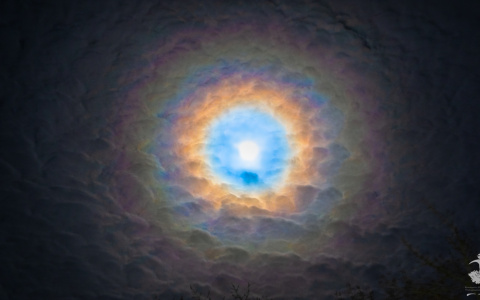 Жители Кировской области наблюдали радужную корону луны