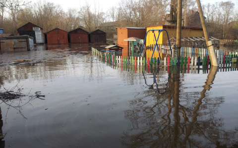 Дешевле расселить микрорайон: в Вересниках может появиться дамба для защиты от половодья