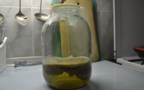 Взрыв из прошлого: чайный гриб - обзор на популярный советский напиток