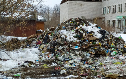 Мусор вывозят раз в год: в "Куприте" объяснили причины проблемы в Затоне