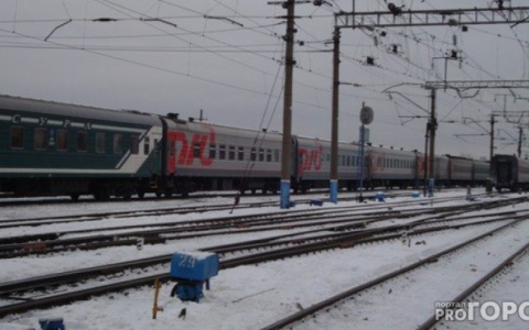 В Кировской области табун лошадей попал под грузовой поезд