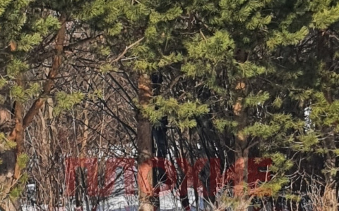 Там проходит лыжня, катаются дети: за Старым мостом нашли тело 25-летнего парня