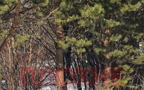 Что обсуждают в Кирове: за Старым мостом нашли тело и закрытие школы на карантин